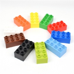 Duplo plate 2x4